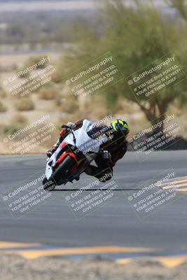 media/May-14-2023-SoCal Trackdays (Sun) [[024eb53b40]]/Turn 5 Tree of Life (1125am)/